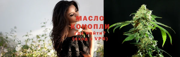 молекула духа Весьегонск