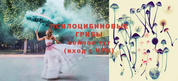 стаф Ладушкин