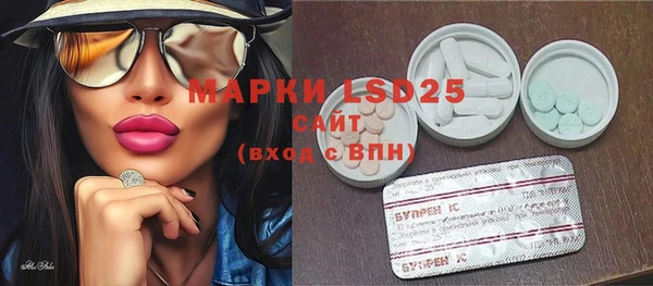 индика Киреевск